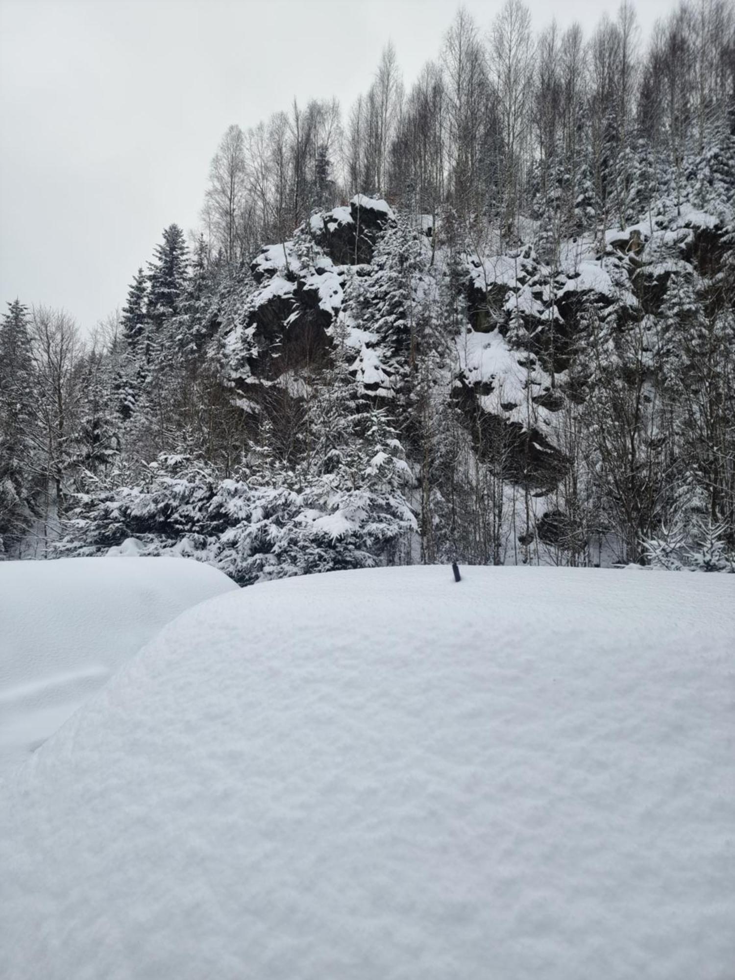 Roubenka Mlyn U Skaly Destne V Orlickych Horach Volne Terminy 5 Bytu Екстер'єр фото